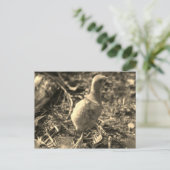 Oké, Dag. - Briefkaart (Staand voorkant)