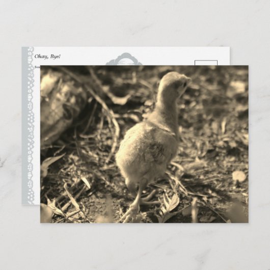 Oké, Dag. - Briefkaart (Voorkant / Achterkant)