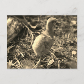 Oké, Dag. - Briefkaart