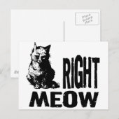 Oké, MEOW. Funny Evil Kat Briefkaart (Voorkant / Achterkant)