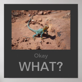 Oké, wat? Collared Lizard poster