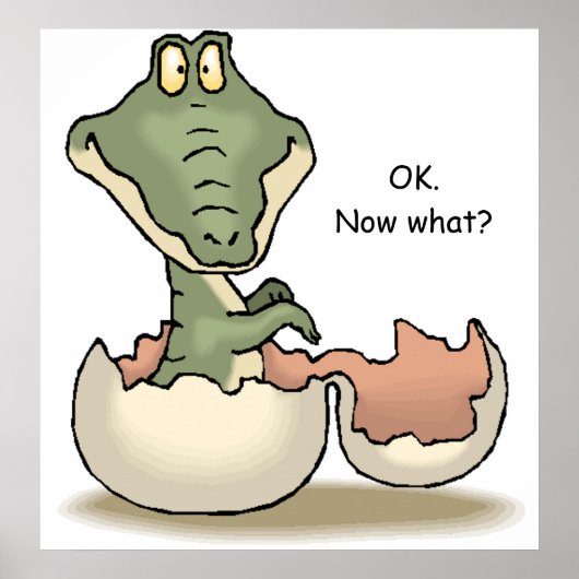 Oké. Wat nu? Poster (Voorkant)