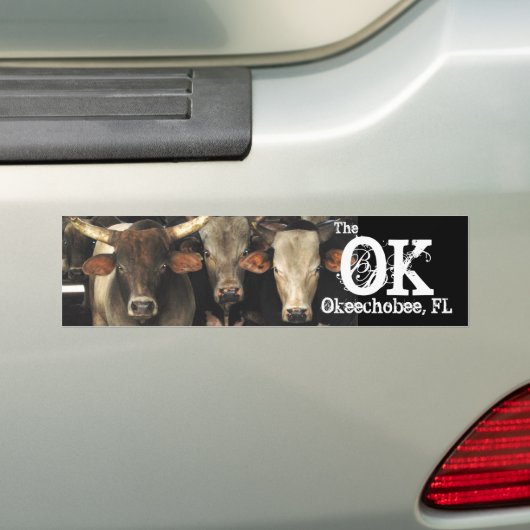 Okechobee Florida The OK Beef Cattle Cows Sticker (Op auto)