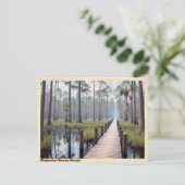 Okefenokee Moeras Georgia Vintage Reizen Briefkaart (Staand voorkant)
