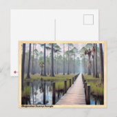 Okefenokee Moeras Georgia Vintage Reizen Briefkaart (Voorkant / Achterkant)