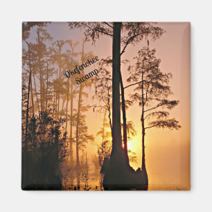 Okefenokee-moeras Magneet
