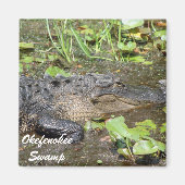 Okefenokee moeras Waycross Georgia Alligator Magne Magneet (Voorkant)
