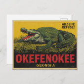 Okefenokee Swamp Alligator Georgia Briefkaart (Voorkant / Achterkant)