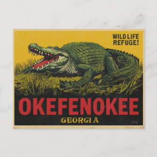 Okefenokee Swamp Alligator Georgia Briefkaart