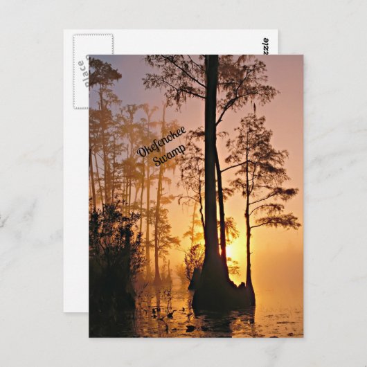 Okefenokee Swamp Briefkaart (Voorkant / Achterkant)