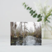 Okefenokee Swamp, Georgia Briefkaart (Staand voorkant)