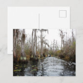 Okefenokee Swamp, Georgia Briefkaart (Voorkant / Achterkant)