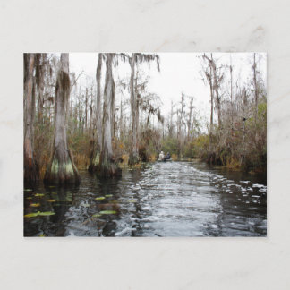 Okefenokee Swamp, Georgia Briefkaart