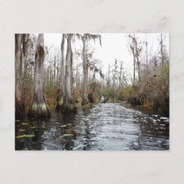 Okefenokee Swamp, Georgia Briefkaart