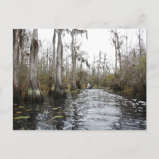 Okefenokee Swamp, Georgia Briefkaart (Voorkant)