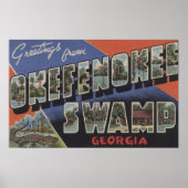 Okefenokee Swamp, Georgia - grote brievenbussen Poster (Voorkant)