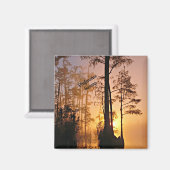 Okefenokee Swamp Magneet (Voorkant / Achterkant)