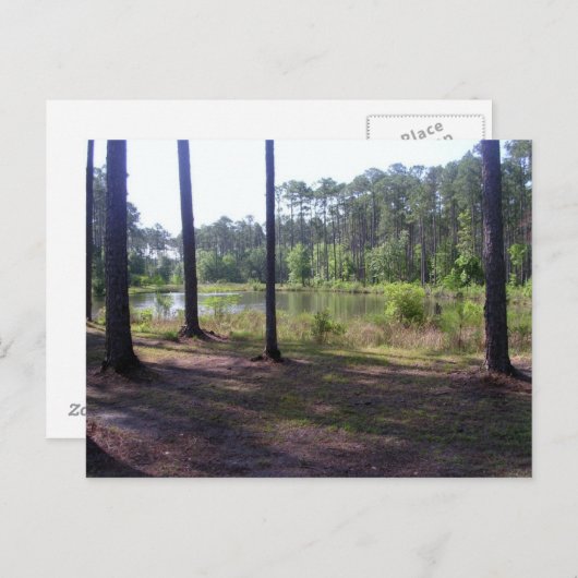 "OKEFENOKEE SWAMP PARK" BRIEFKAART (Voorkant / Achterkant)