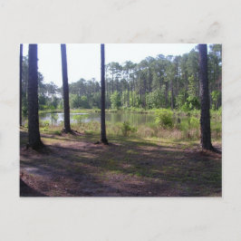 "OKEFENOKEE SWAMP PARK" BRIEFKAART