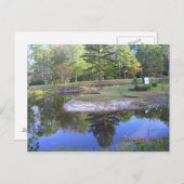 "OKEFENOKEE SWAMP PARK" BRIEFKAART (Voorkant / Achterkant)