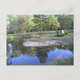 "OKEFENOKEE SWAMP PARK" BRIEFKAART