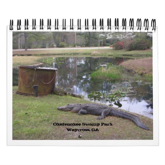 "OKEFENOKEE SWAMP PARK" KALENDER (Hoes)