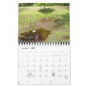 "OKEFENOKEE SWAMP PARK" KALENDER (Jan 2027)
