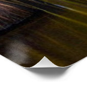 Okefenokee Swamp Perfect Poster (Hoek)