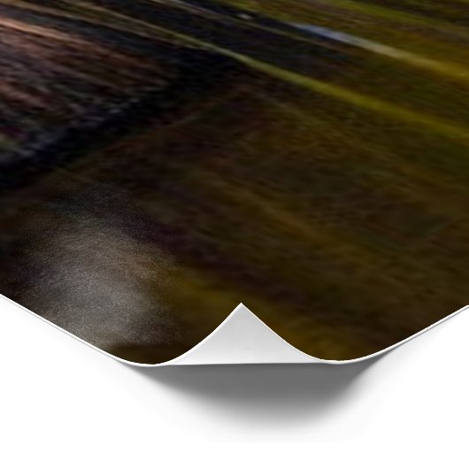 Okefenokee Swamp Perfect Poster (Hoek)