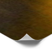 Okefenokee Swamp Poster (Hoek)