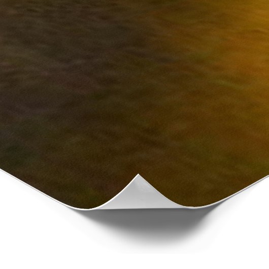 Okefenokee Swamp Poster (Hoek)