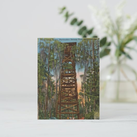 Okelenokee Swamp Park, Waycross, Georgia Briefkaart (Staand voorkant)