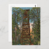 Okelenokee Swamp Park, Waycross, Georgia Briefkaart (Voorkant / Achterkant)