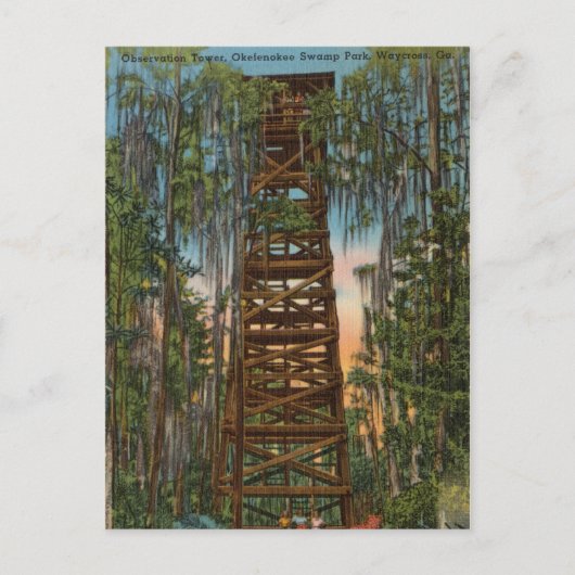 Okelenokee Swamp Park, Waycross, Georgia Briefkaart (Voorkant)