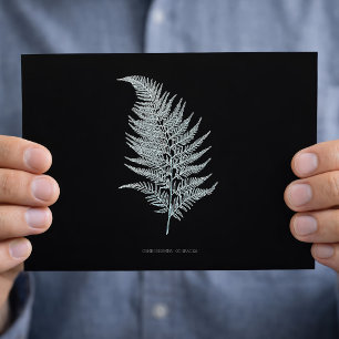 Okervarenblad, Gymnogramma Ochracea Briefkaart