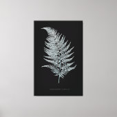 Okervarenblad, Gymnogramma Ochracea Canvas Afdruk (Voorkant)