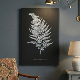Okervarenblad, Gymnogramma Ochracea Canvas Afdruk
