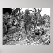 Okinawa Poster (Voorkant)