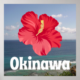 Okinawa Schilderachtig Uitzicht en Hibiscus Poster