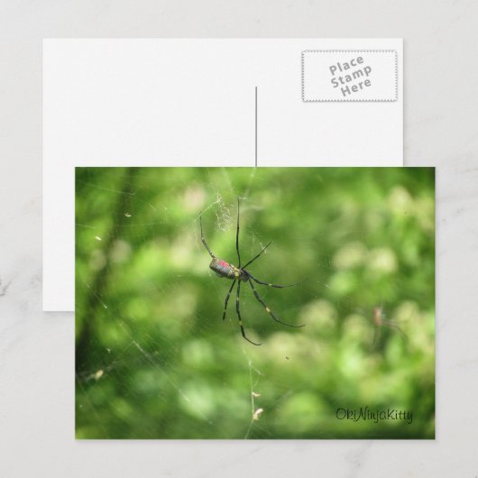 Okinawa Spider Briefkaart (Voorkant / Achterkant)
