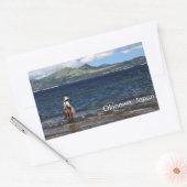 Okinawanvissers Rechthoekige Sticker (Envelop)