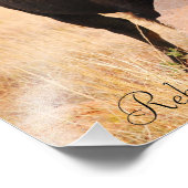 Oklahoma Bison, Rebecca Alsbury Photography 2011 Foto Afdruk (Hoek)