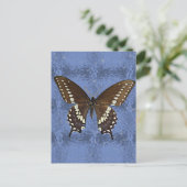 Oklahoma Black Swallowtail Butterfly Briefkaart (Staand voorkant)