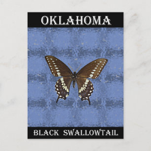 Oklahoma Black Swallowtail Butterfly Briefkaart