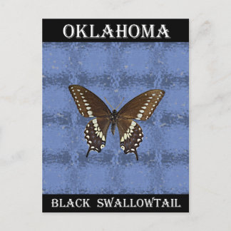Oklahoma Black Swallowtail Butterfly Briefkaart