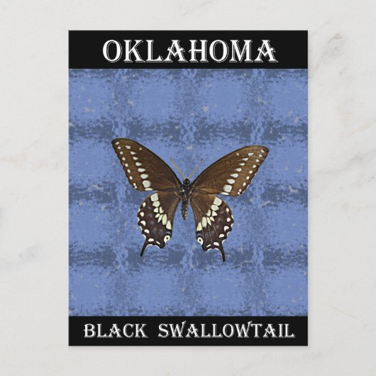 Oklahoma Black Swallowtail Butterfly Briefkaart (Voorkant)