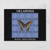 Oklahoma Black Swallowtail Butterfly Briefkaart (Voorkant)
