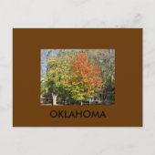 OKLAHOMA BRIEFKAART (Voorkant)