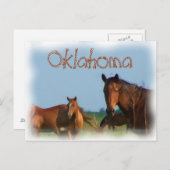 Oklahoma Briefkaart (Voorkant / Achterkant)