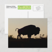 Oklahoma Buffalo Briefkaart (Voorkant / Achterkant)